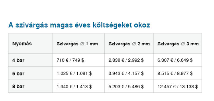A szivárgások évente akár 12 457 Euró többletköltséget is jelenthetnek.