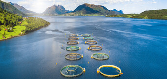 Akvakultúrában használt légkompresszor – a KAESER KOMPRESSOREN energiaoptimalizált megoldása a fenntartható sűrített levegő igényhez.