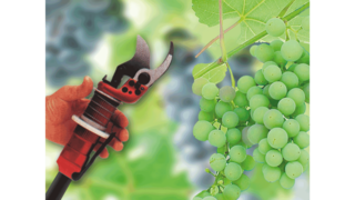 KAESER ipari dugattyús kompresszorok a borászatban.